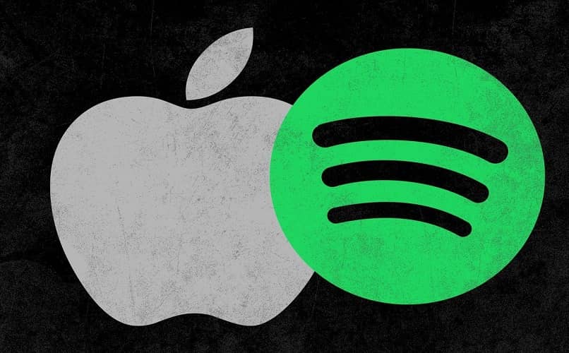 where are spotify songs stored mac